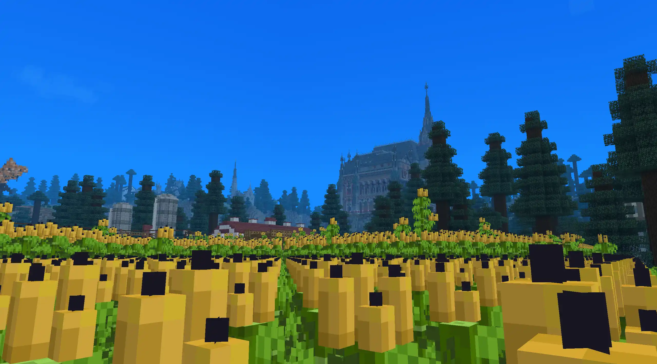 NearVanilla community — 2026-08-18_15.56.02